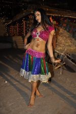 Mohini Neelakanta Shoot for item song on the sets of Ajay Yadav_s Ghubaar on 1st March 2013 (37).JPG